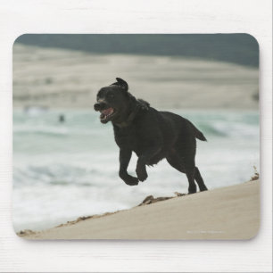 Tarifa, Cadiz, Andalusia, Spain Mouse Pad
