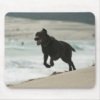 Tarifa, Cadiz, Andalusia, Spain Mouse Pad