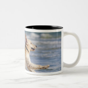 tarifa, cadiz, andalusia, spain Two-Tone coffee mug