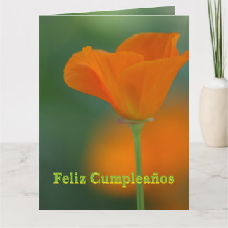 Tarjeta - Feliz Cumpleaños Todas Luces en Colour Card