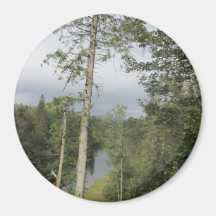 Tarn Hows Arbres Magnet