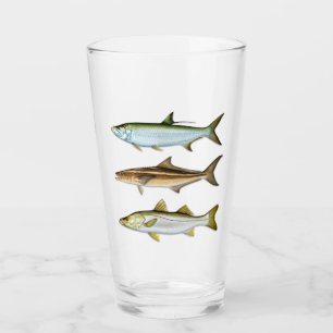 Tarpon, Cobie, Snook Boire Verre