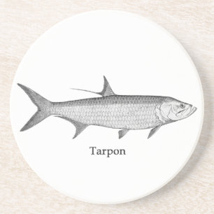Tarpon  Logo  (line art) Coaster