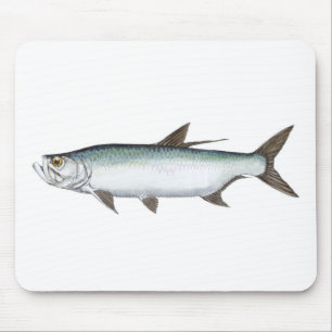 Tarpon Mouse Pad