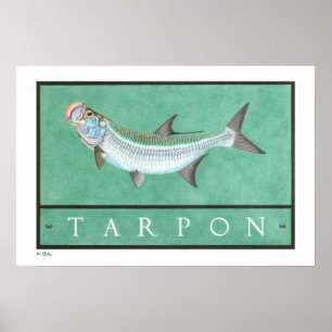 Tarpon Posters, Prints and Frames