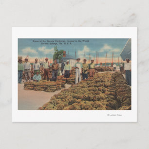 Tarpon Springs, FL - Scene of Sponge Exchange Postcard
