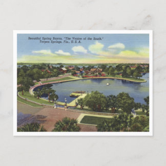Tarpon Springs Florida Vintage Spring Bayou Postcard