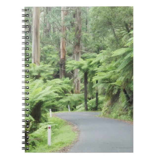 Tarra Bulga National Park, Strzelecki Ranges Notebook (Front)