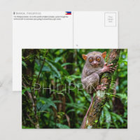Tarsier in Bohol, Philippines Travel Postcard