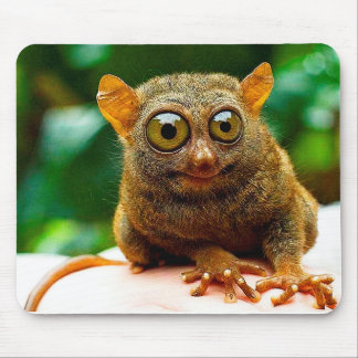 tarsier mouse pad