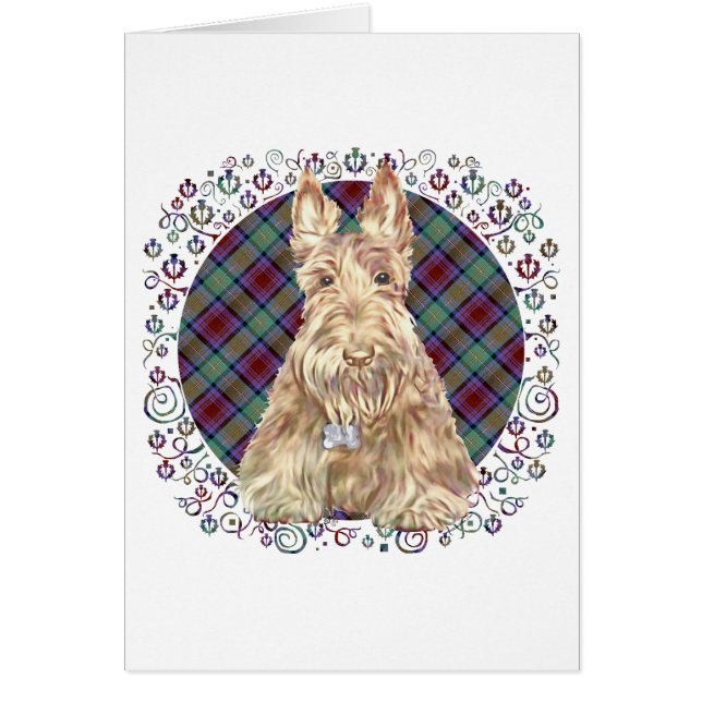 Tartan écossais roux (Devant)