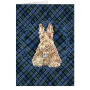 Tartan Scottie
