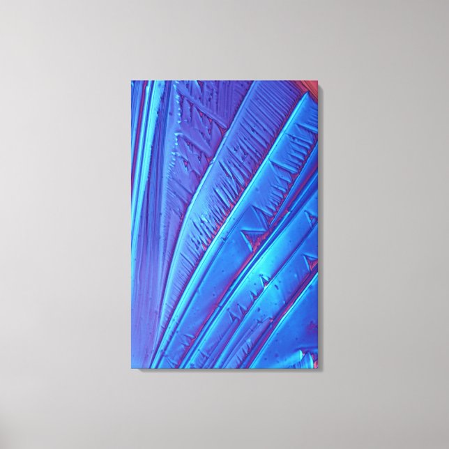 Tartaric acid crystals canvas print (Front)