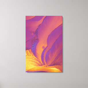 Tartaric Acid Crystals Canvas Print