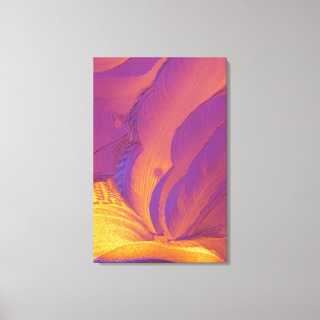 Tartaric Acid Crystals Canvas Print (Front)