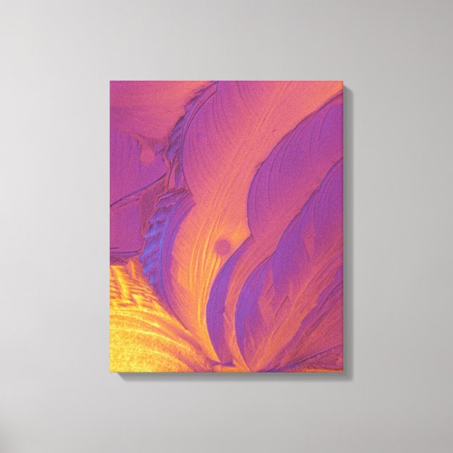 Tartaric Acid Crystals Canvas Print (Front)