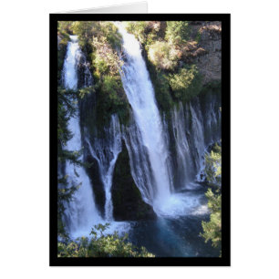 Tarzan's Waterfall- Song of Sol. 7:13 Card