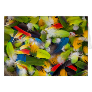 Tas de plumes colorées