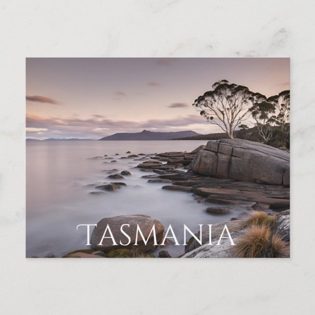 Tasmania (8) postcard (Front)