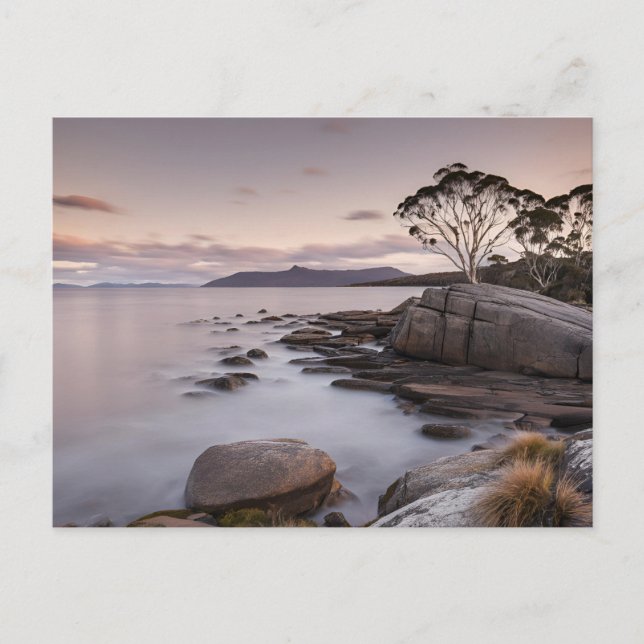 Tasmania (9) postcard (Front)