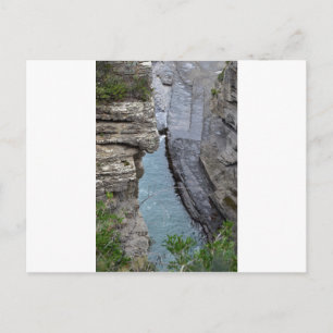 TASMANIA DEVILS KITCHEN AUSTRALIA POSTCARD