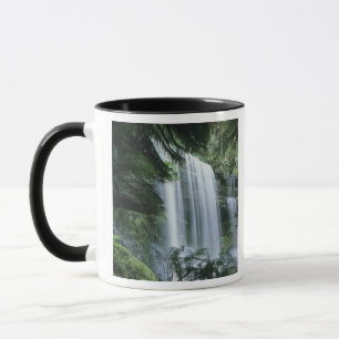 Tasmania, Mt. Field National Park, Russell Falls Mug