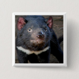 Tasmanian Devil 2 Inch Square Button