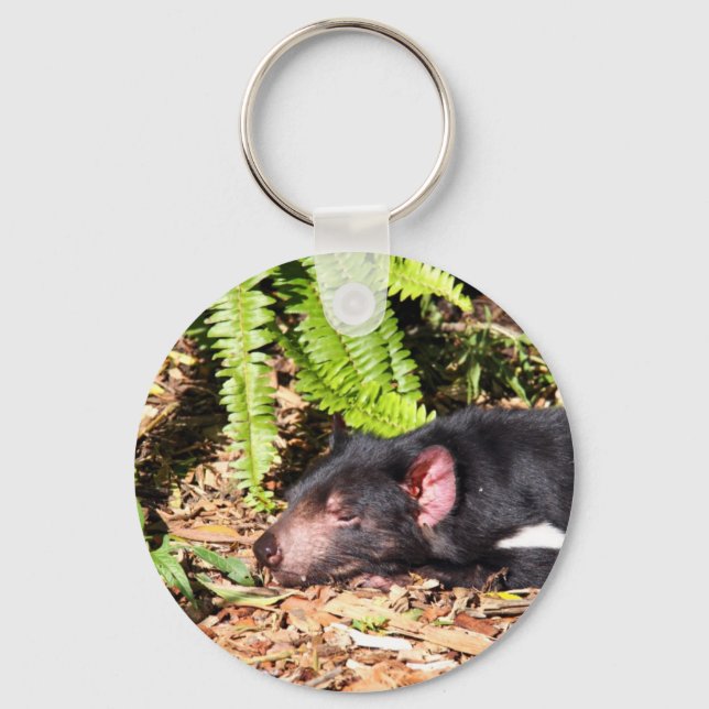 Tasmanian Devil Basking in the Sunlight Keychain (Front)