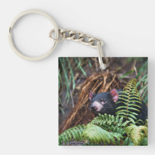 Tasmanian Devil Encounter Keychain