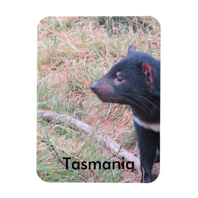 Tasmanian Devil Flexible Magnet (Vertical)