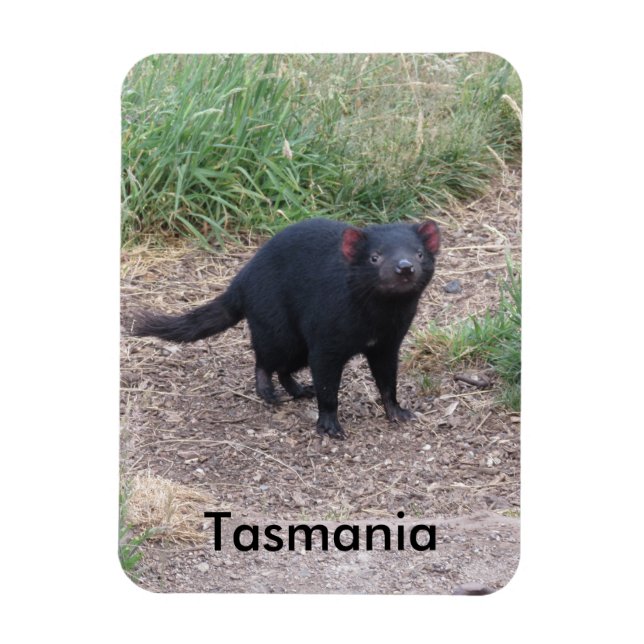 Tasmanian Devil Flexible Magnet (Vertical)