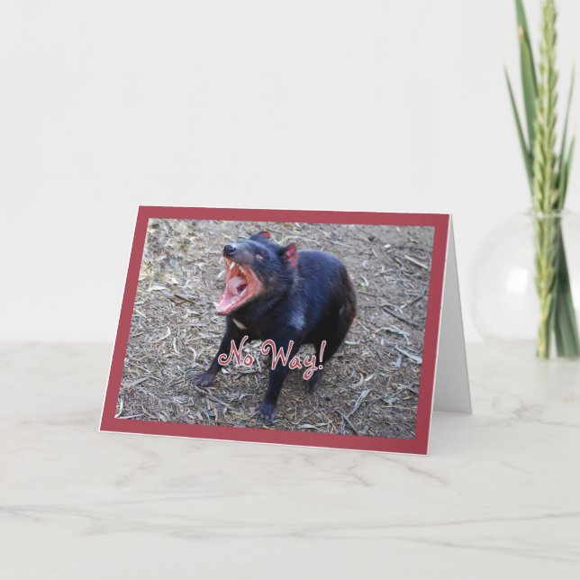 Tasmanian Devil Happy Birthday Greeting Card (Front)