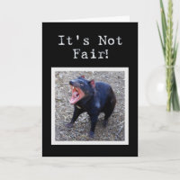 Tasmanian Devil Happy Birthday Humour