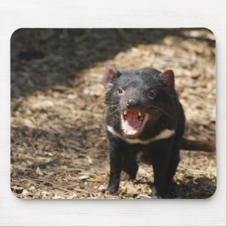 Tasmanian Devil Mouse Pad