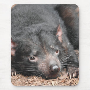 Tasmanian Devil Mouse Pad
