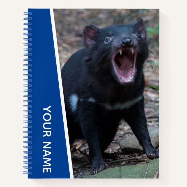 Tasmanian Devil, Tasmania, Australia, Blue Notebook (Front)