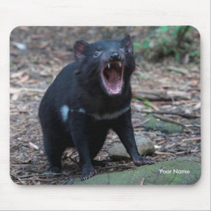 Tasmanian Devil Tasmania Australia Close Up Photo Mouse Pad