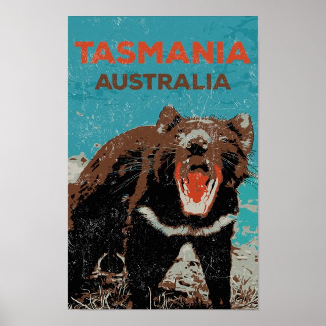 Tasmanian Devil, Tasmania island, Australia Poster (Front)
