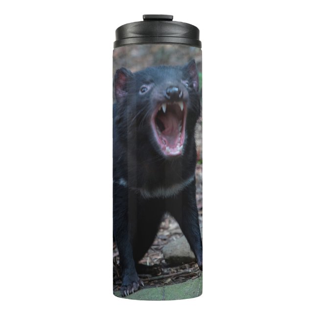 Tasmanian Devil Thermal Tumbler (Front)