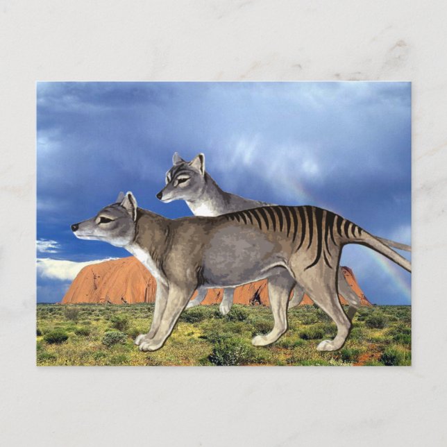 Tasmanian Tiger Postcards (Front)