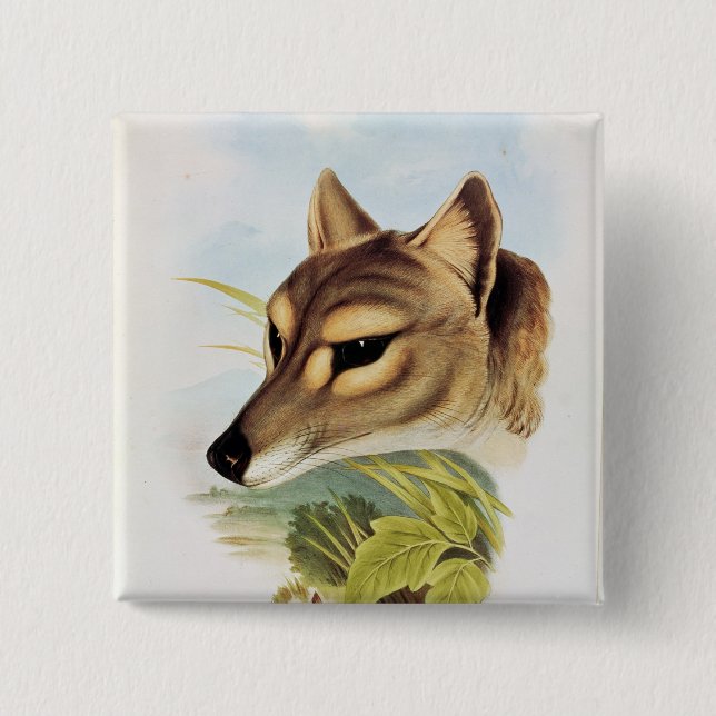 Tasmanian Wolf or Tiger 2 Inch Square Button (Front)
