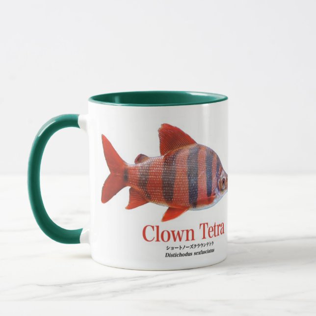 TASSE ショート・ノーズ・クラウン・テトラ (Gauche)