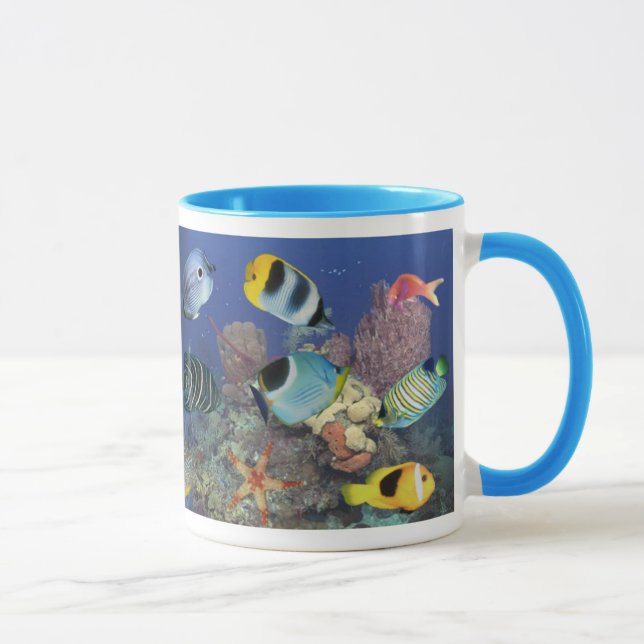 Tasse 01 de poissons (Droite)
