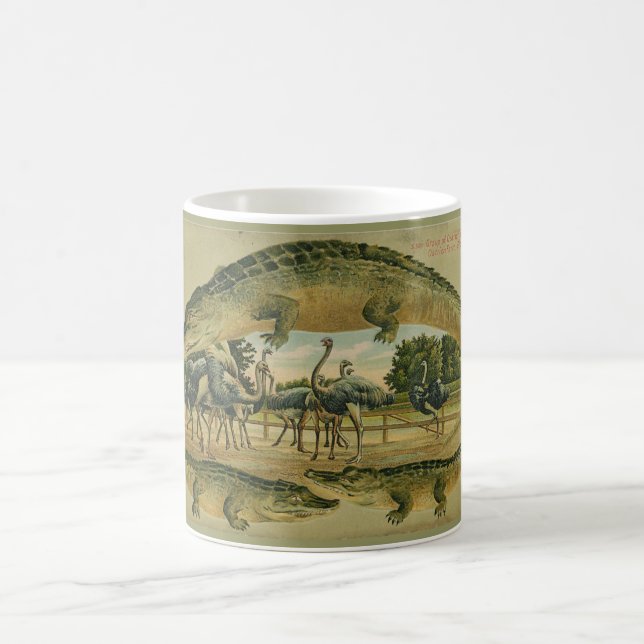 Tasse 1905 de frontière d'alligator de la Floride (Centre)