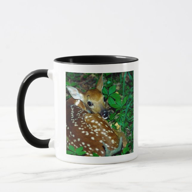 TASSE 24114390 (Gauche)