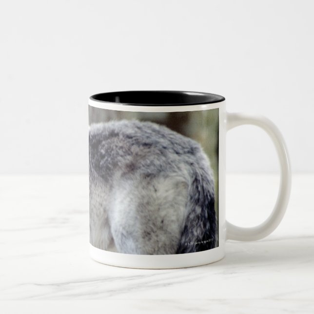 TASSE 2 COULEURS 24114488 (Droit)
