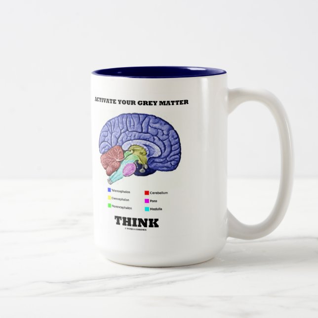 Tasse 2 Couleurs Activer votre matière grise Penser Cerveau anatomi (Droit)