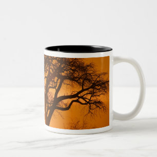 Tasse 2 Couleurs Afrique, Botswana, Soleil couchant silhouette Baob