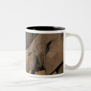 Tasse 2 Couleurs Afrique, Kenya, Réserve de Masai Mara, Deux Taurea