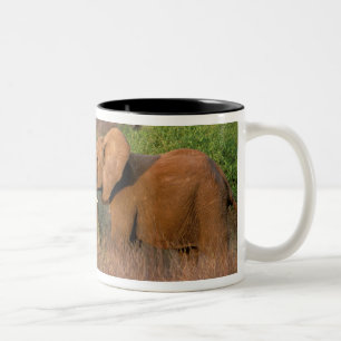 Tasse 2 Couleurs Afrique, Kenya, Samburu. Défi de l'éléphant